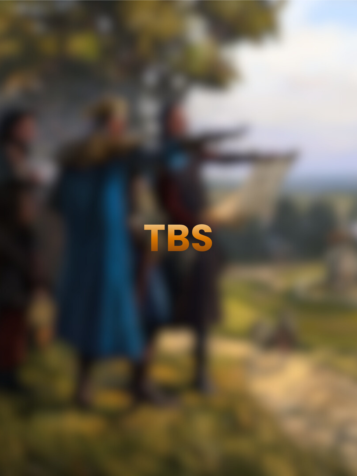 Turn based strategy TBS