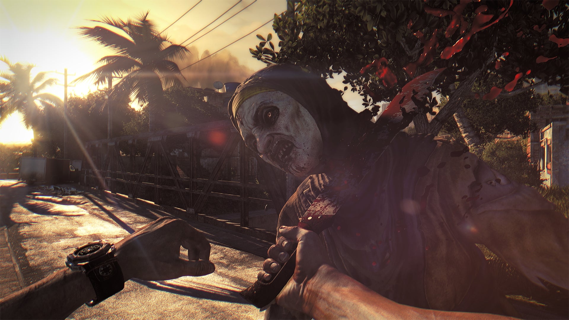 Dying Light Essentials Edition Cover Image Steam