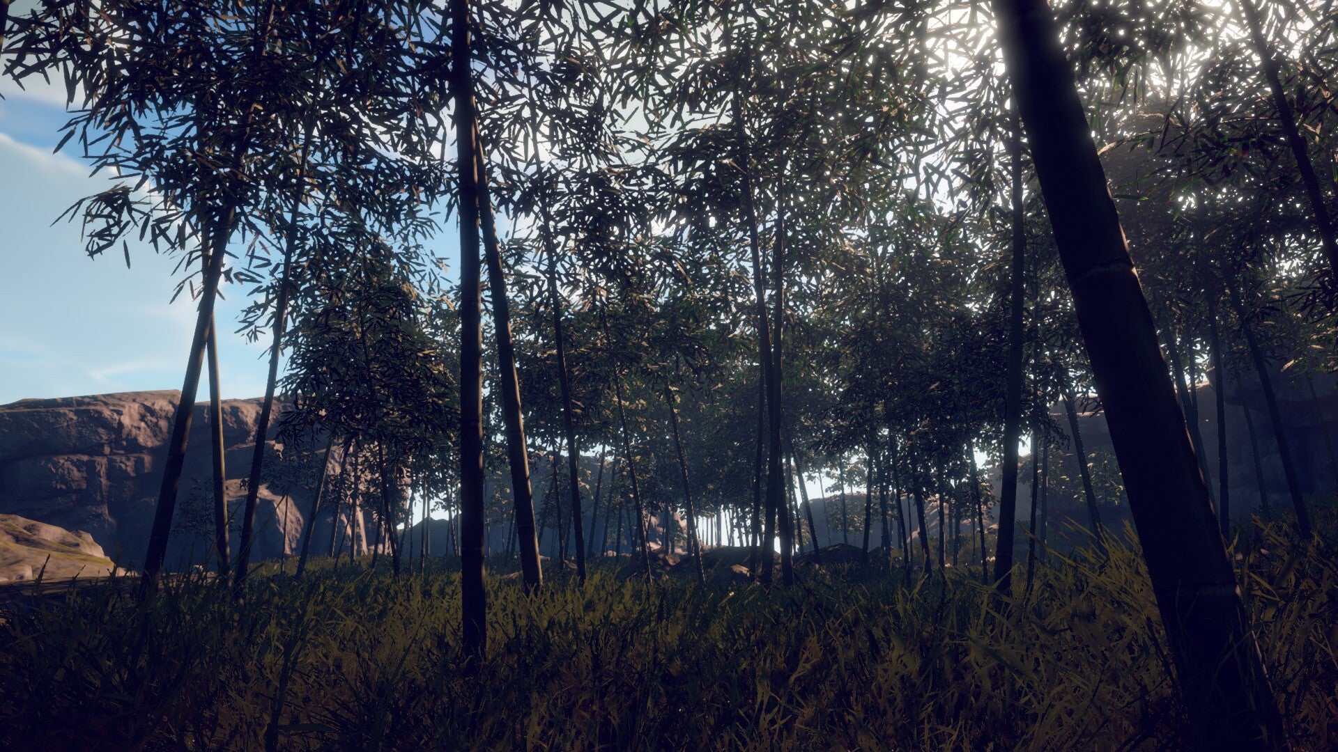 Survival: Fountain of Youth Captains Edition Cover Image Steam