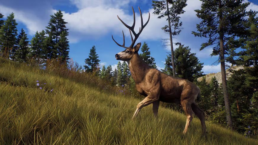 Way of the Hunter Elite Edition