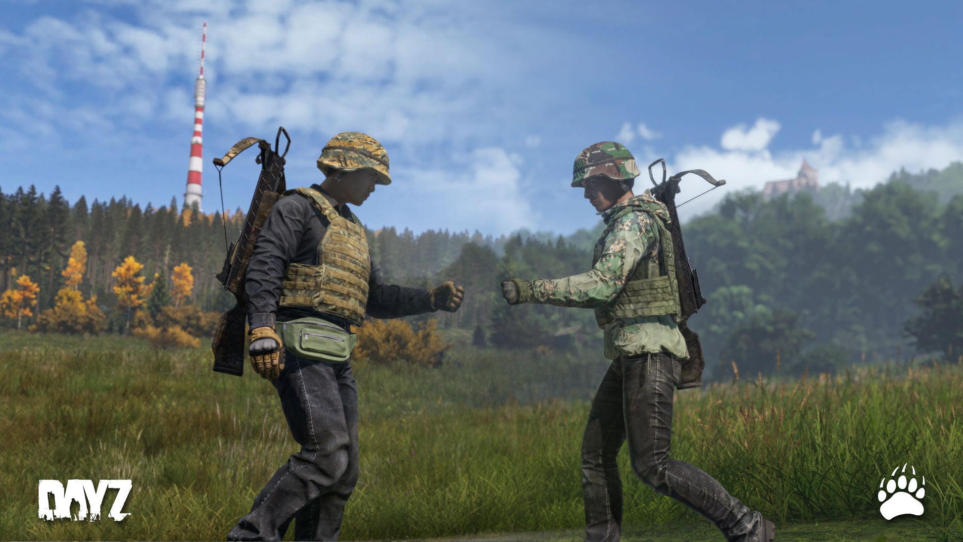 DayZ - Livonia DLC EU