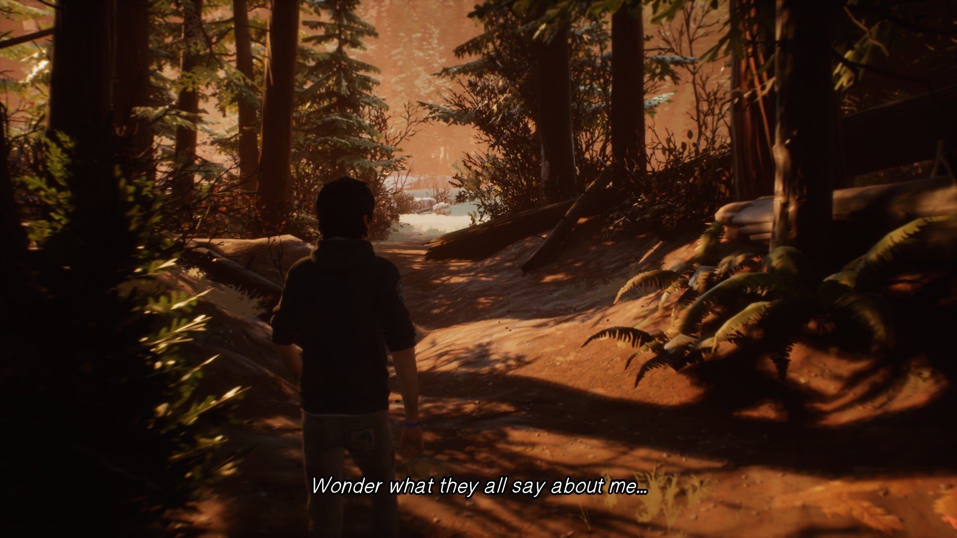 Life is Strange 2 - Episode 3 DLC