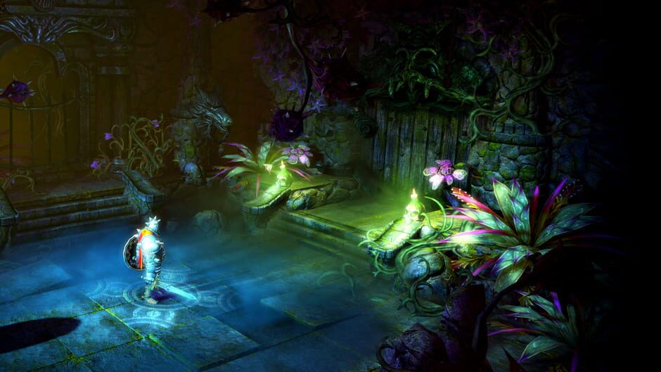 Trine 2: Complete Story Cover Image Steam
