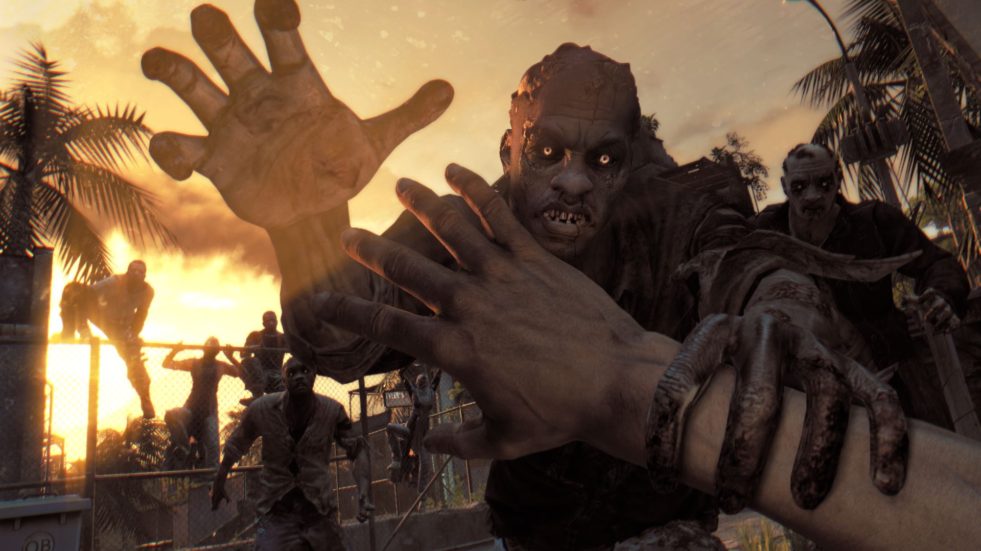 Dying Light: The Following - Enhanced Edition screenshot