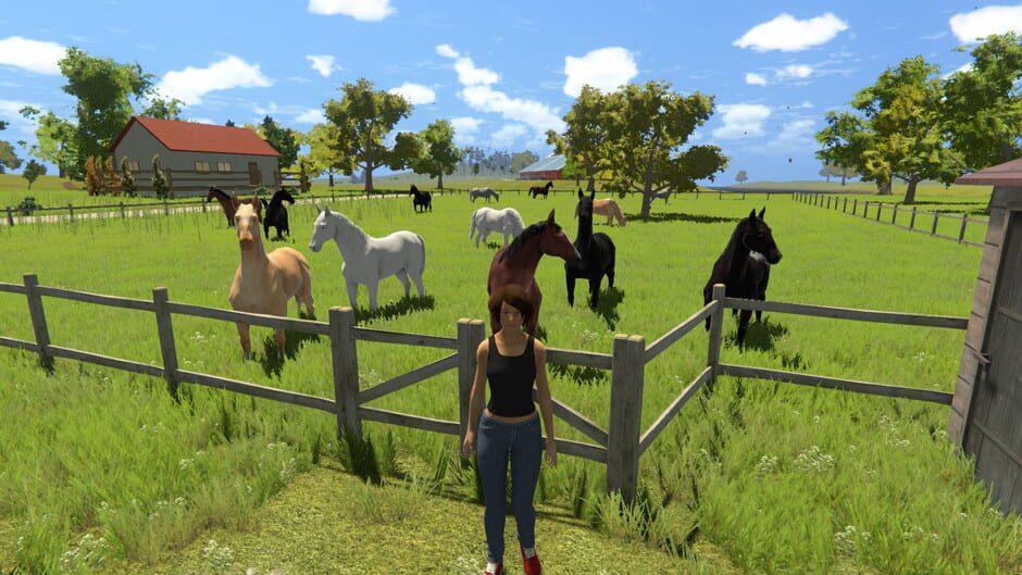 My Little Riding Champion Cover Image Steam