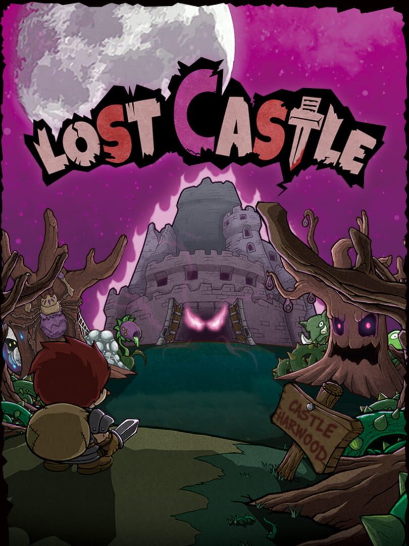 Lost Castle Cover Image Steam