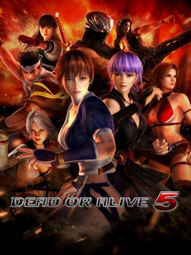 DEAD OR ALIVE 5 Last Round Cover Image Steam