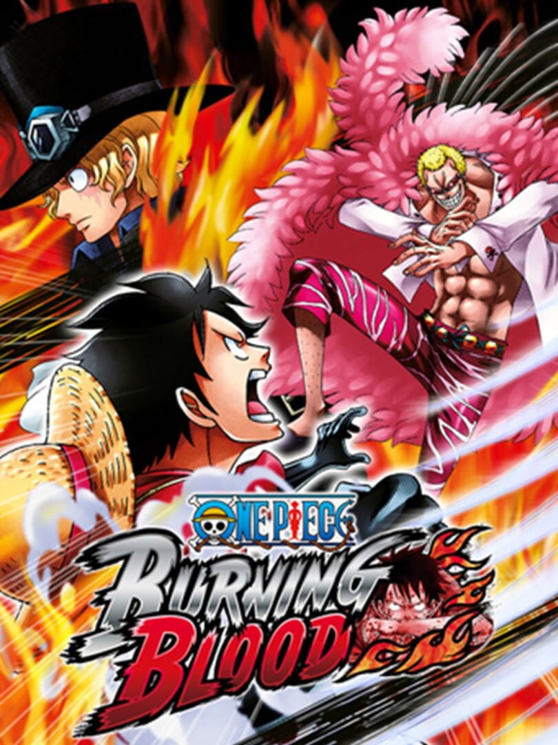 One Piece Burning Blood Steam Cover Image