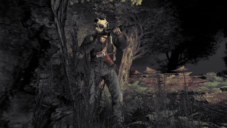 DayZ Cover Image Steam
