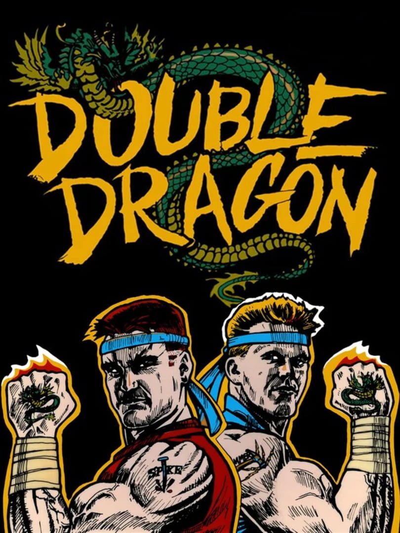 Double Dragon Trilogy Cover Image Steam