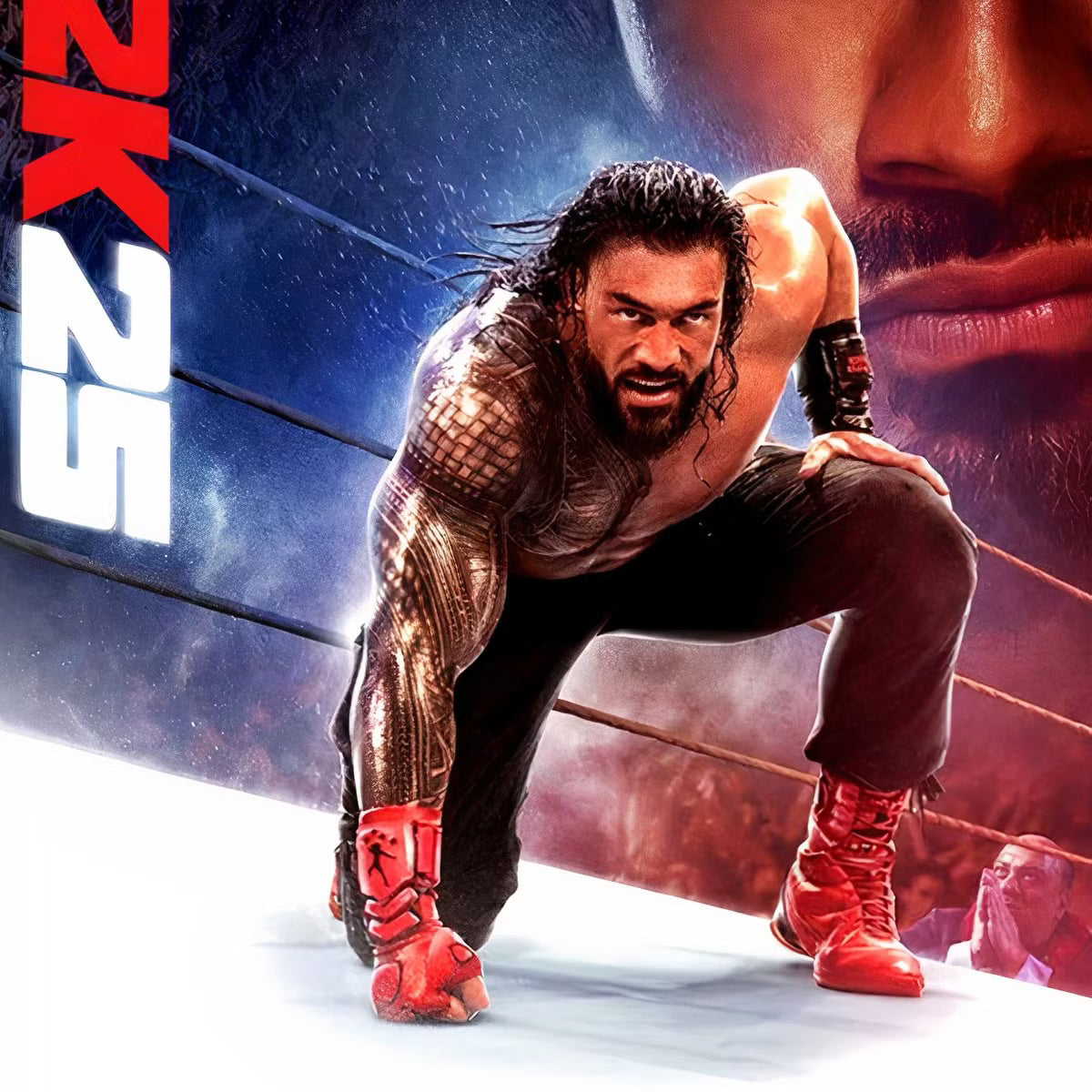 WWE 2K25