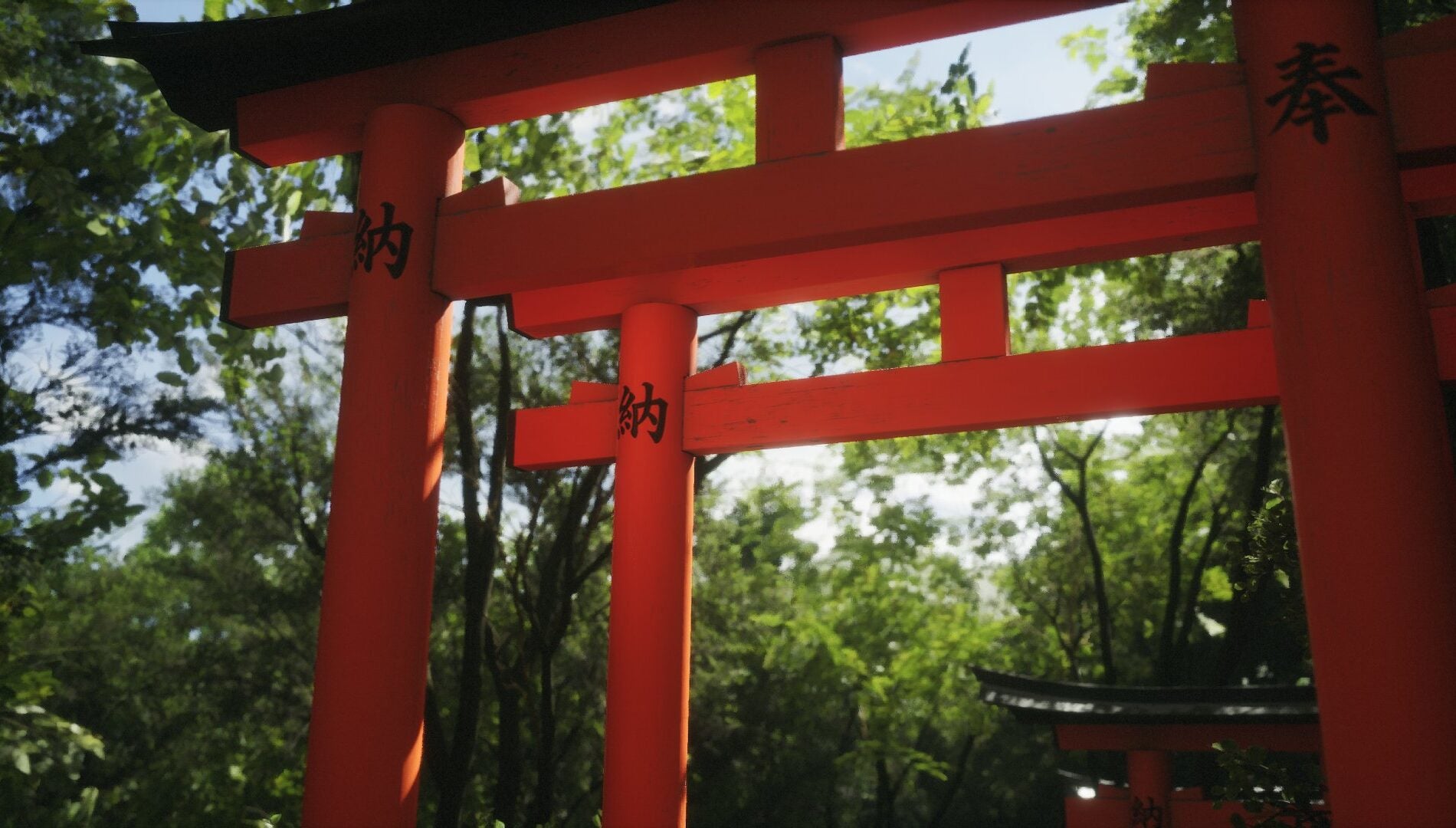 Lushfoil Photography Sim