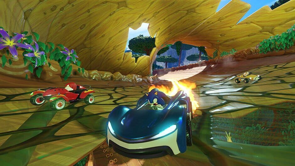 Team Sonic Racing Cover Image Nintendo Switch