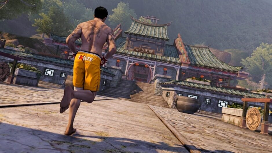 Sleeping Dogs Definitive Edition Cover Image Steam