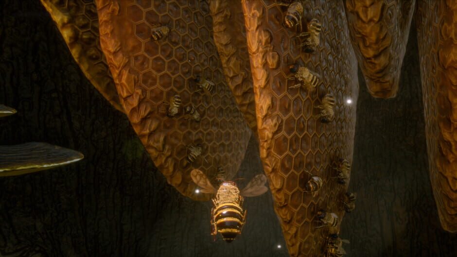 Bee Simulator Cover Image Epic Games