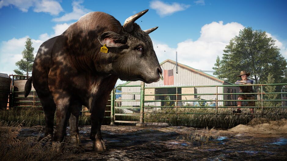 Far Cry 5 Cover Image Xbox One / Xbox Series XS