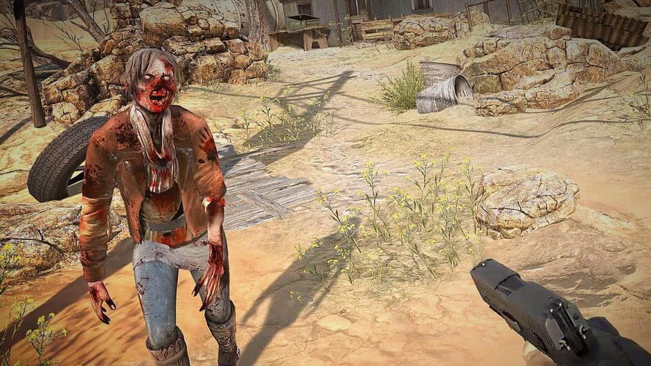 Arizona Sunshine 2 Deluxe Edition Cover Image Steam