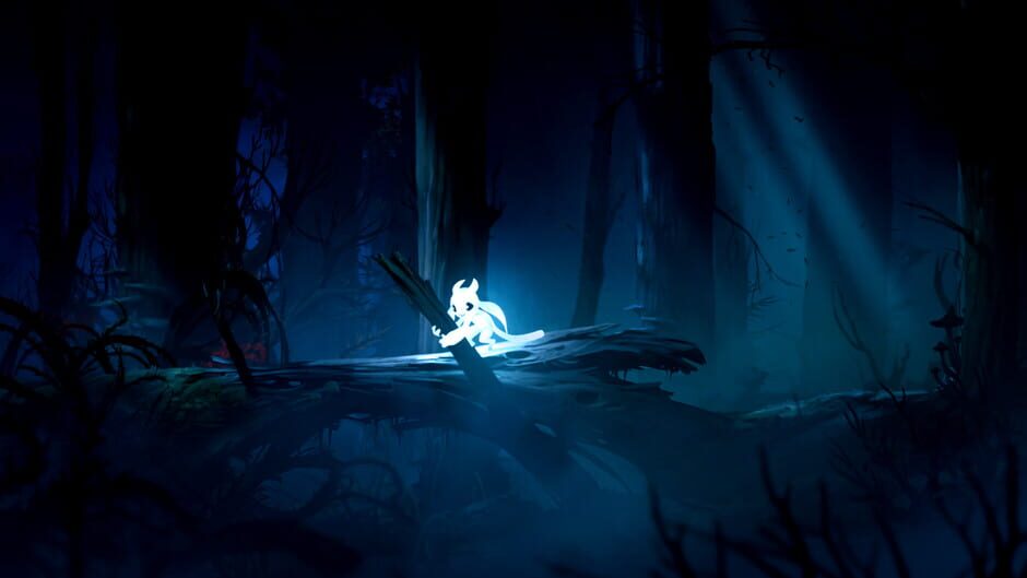 Ori and the Blind Forest Definitive Edition Cover Image Windows 10
