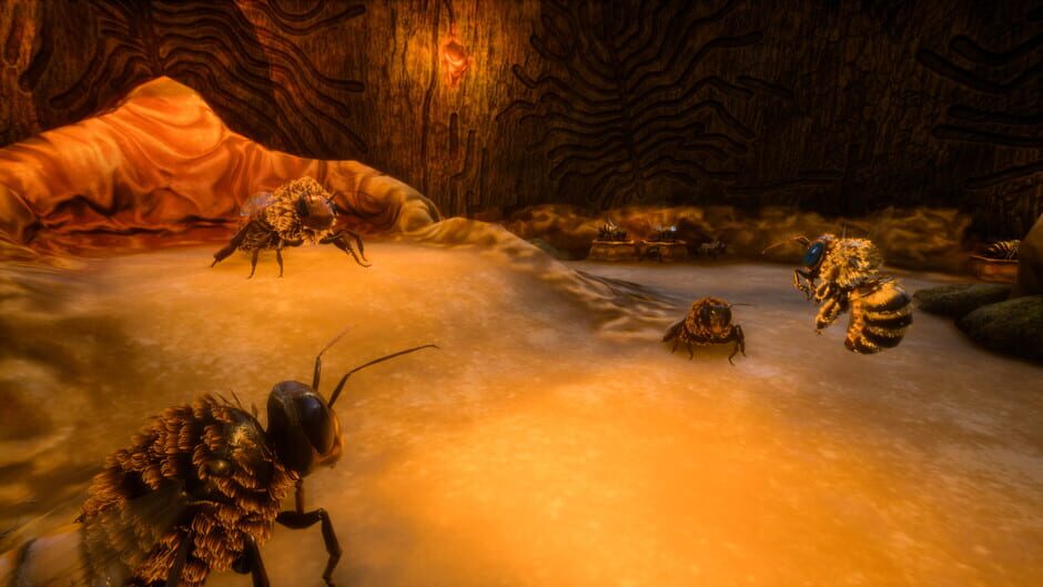 Bee Simulator Cover Image Epic Games