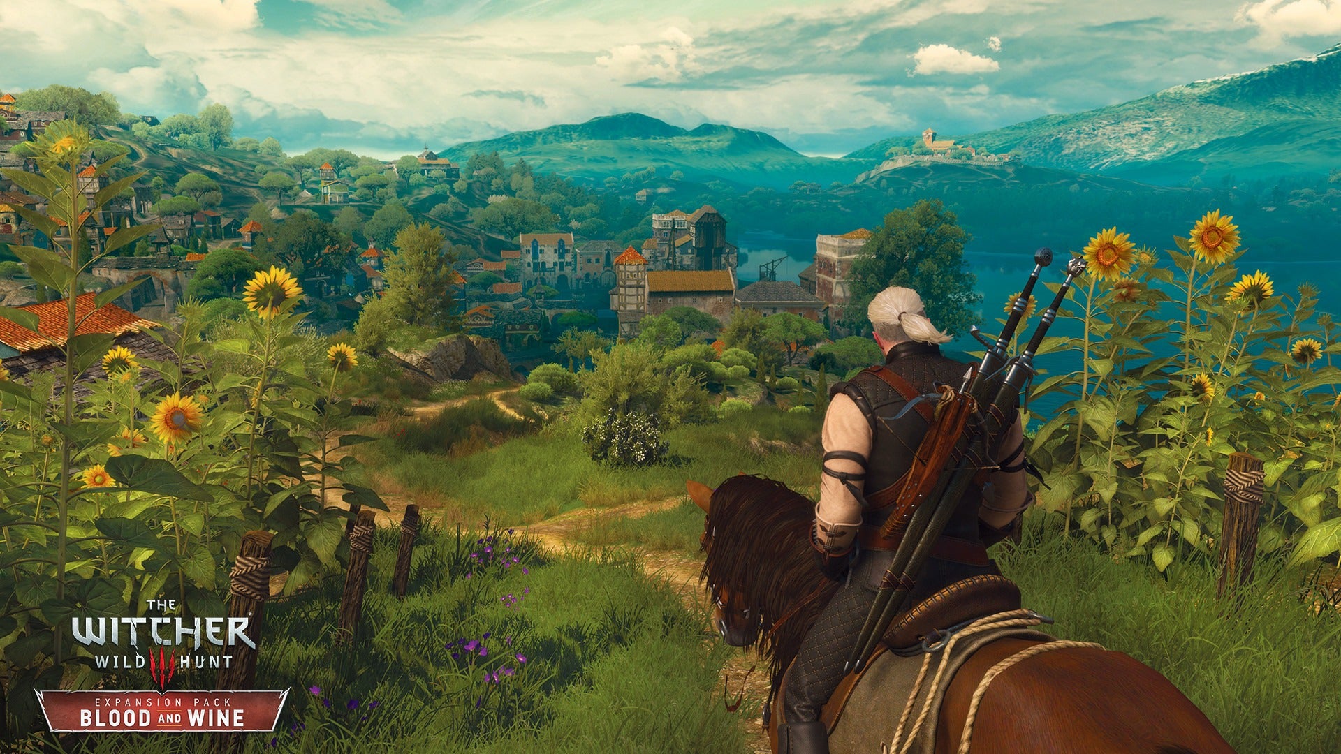 The Witcher 3 Wild Hunt - Expansion Pass DLC