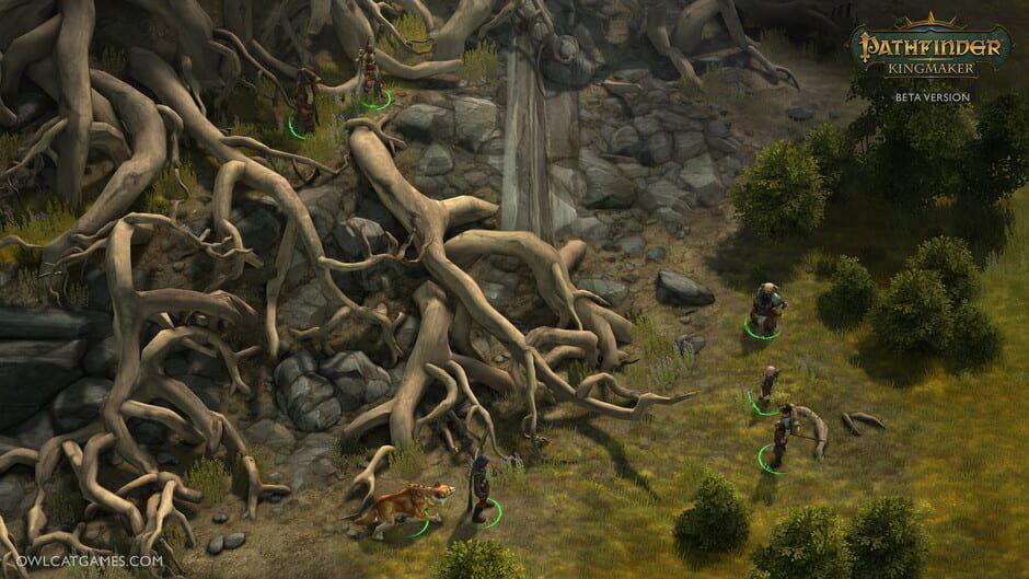 Pathfinder Kingmaker Enhanced Plus Edition Cover Image Steam