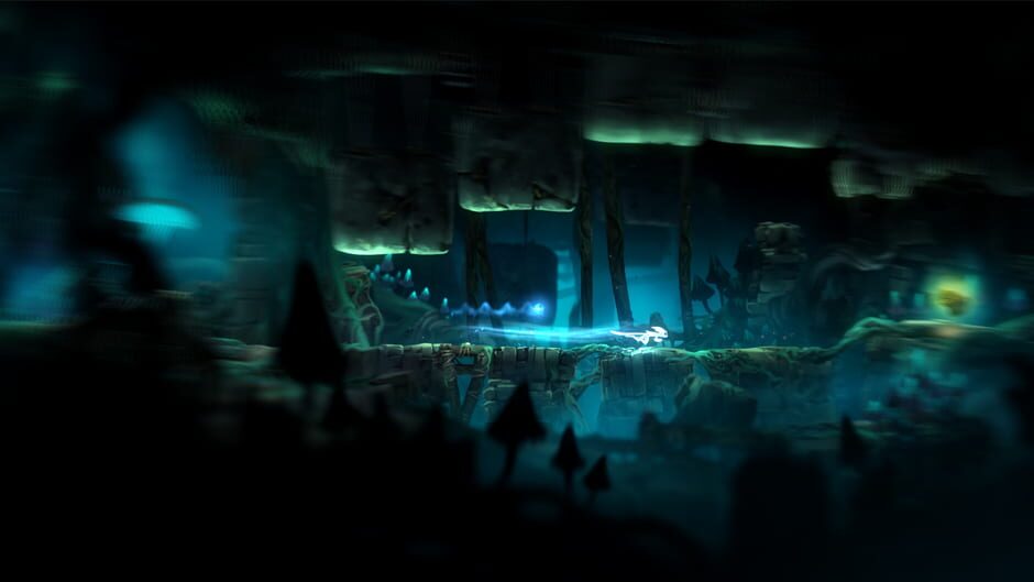Ori and the Blind Forest Definitive Edition Cover Image Windows 10