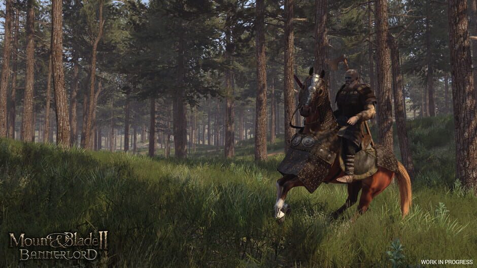 Mount & Blade II: Bannerlord Cover Image Windows 10 / Xbox One / Xbox Series XS