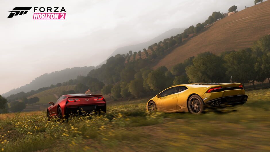 Forza Horizon 2 10th Anniversary Edition Cover Image Xbox One