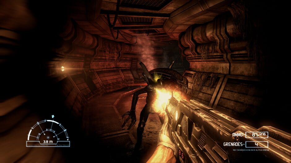 Aliens vs Predator Collection Cover Image Steam