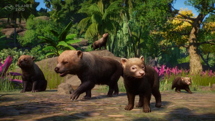 Planet Zoo: Americas Animal Pack DLC ROW