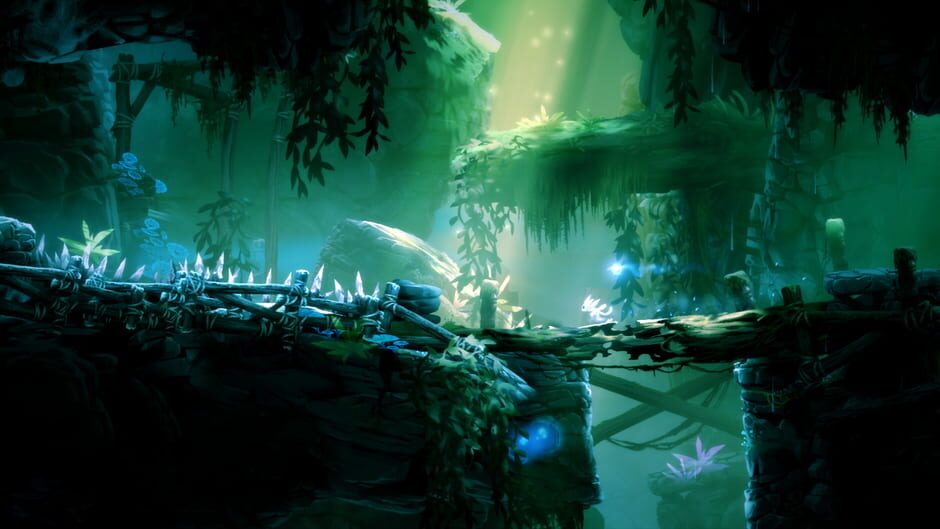 Ori and the Blind Forest Cover Image Xbox One
