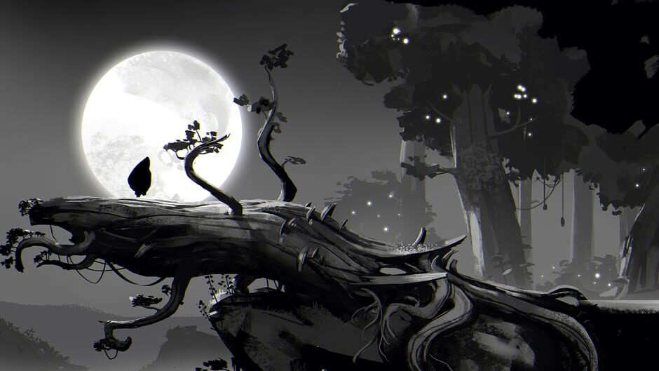 Ori and the Blind Forest Cover Image Xbox One