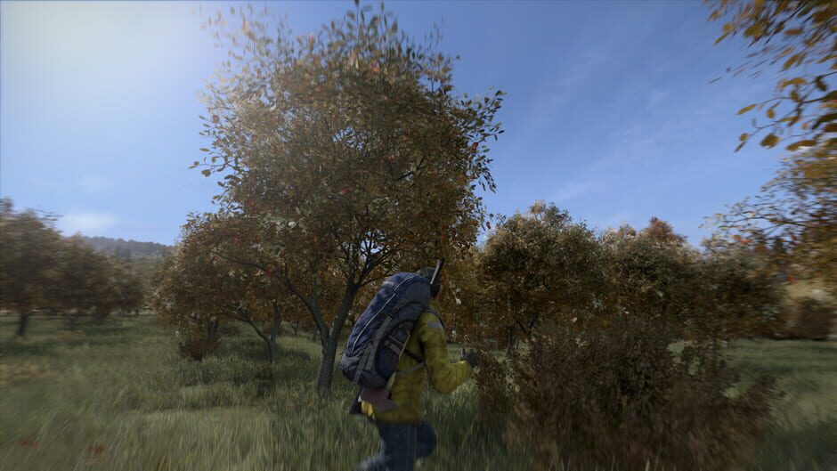 DayZ Cover Image Steam