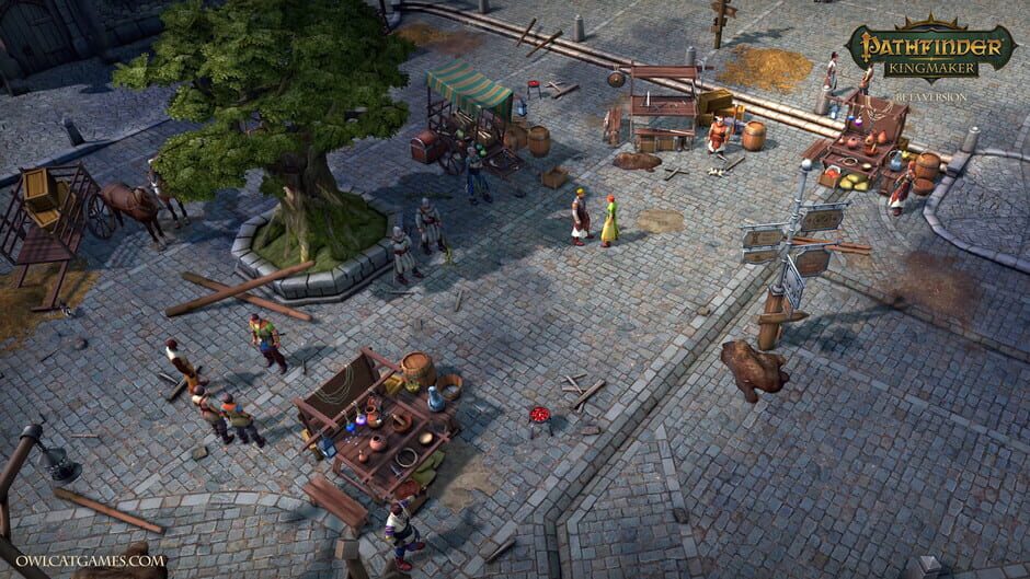 Pathfinder Kingmaker Enhanced Plus Edition Cover Image Steam
