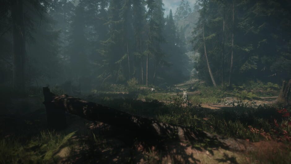 Maid of Sker Cover Image Nintendo Switch