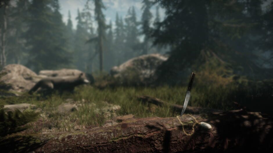 Maid of Sker Cover Image Nintendo Switch