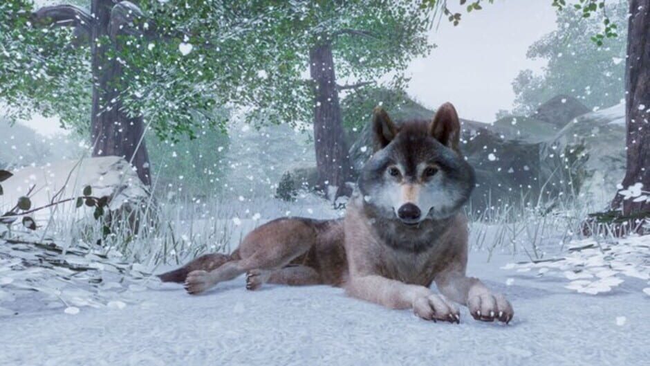 PLanet Zoo: Europe Pack DLC Cover Image Steam