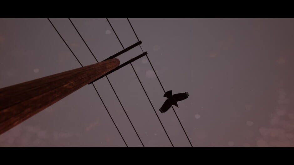 Of Bird and Cage Cover Image Steam