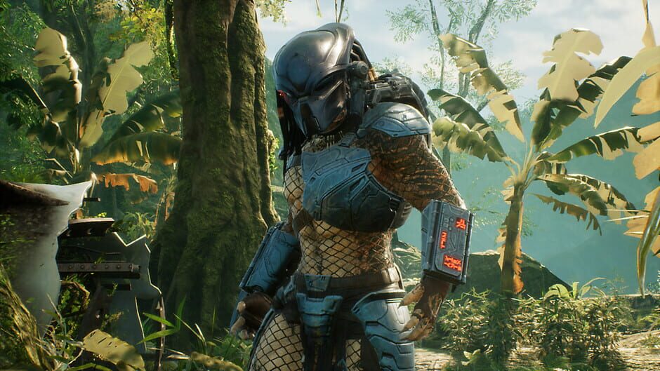 Predator Hunting Grounds Cover Image PlayStation 4