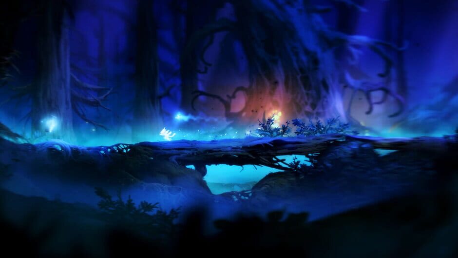 Ori and the Blind Forest Definitive Edition Cover Image Windows 10
