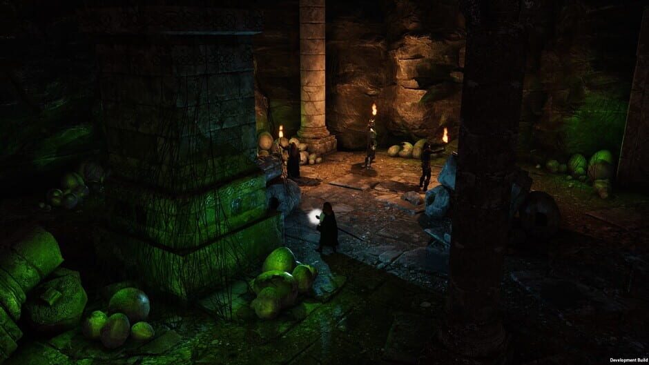Solasta: Crown of the Magister Cover Image Windows 10 / Xbox One / Xbox Series XS