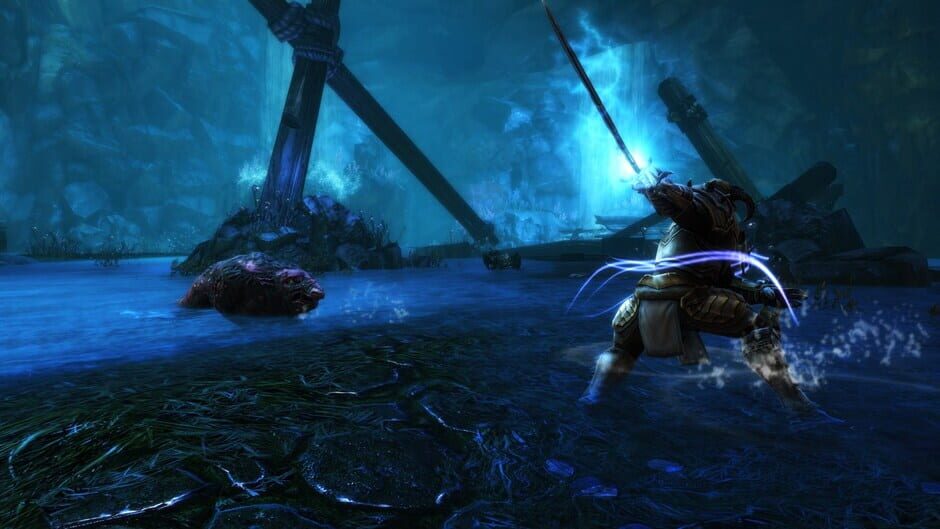 Kingdoms of Amalur Re-Reckoning Cover Image Nintendo Switch