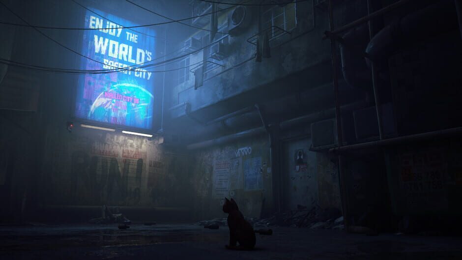 Stray Cover Image Steam