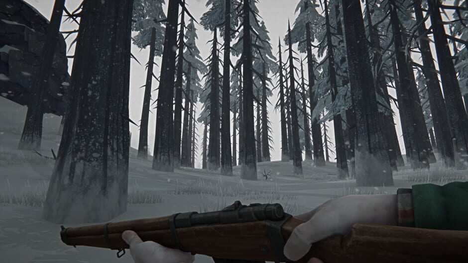 The Long Dark Cover Image Steam