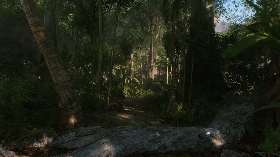Crysis Remastered Cover Image Xbox One