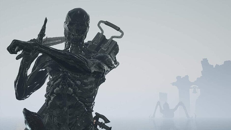 Mortal Shell Enhanced Edition Cover Image Windows 10 / Xbox One / Xbox Series XS