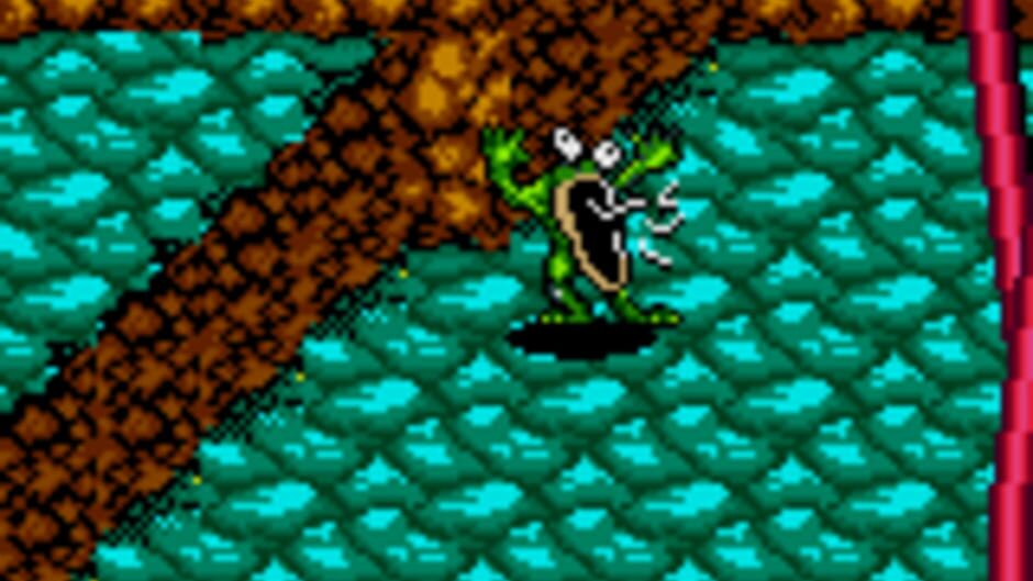 Battletoads Cover Image Windows 10 / Xbox One