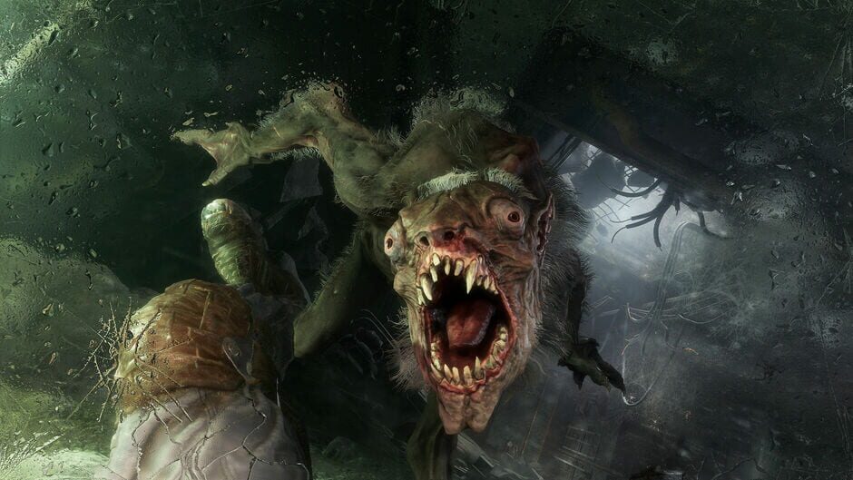 Metro Exodus Gold Edition Cover Image Xbox One / Xbox Series XS
