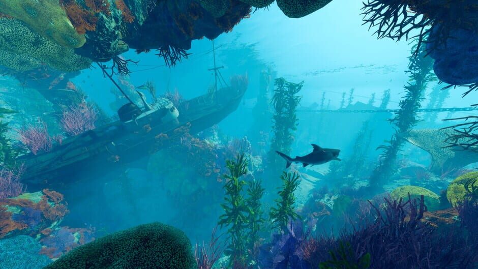 Maneater Apex Edition Cover Image Epic Games