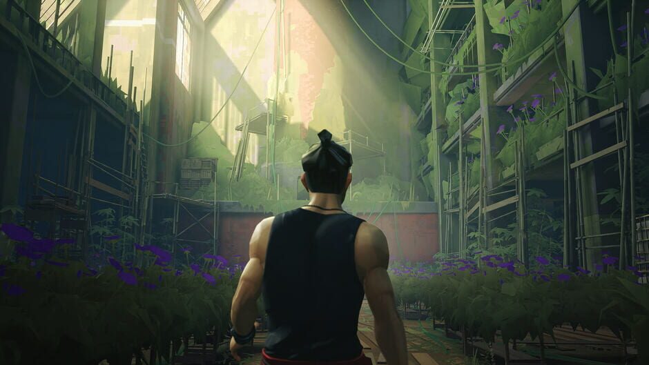 SIFU Deluxe Edition Cover Image Epic Games